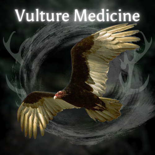 Vulture Medicine